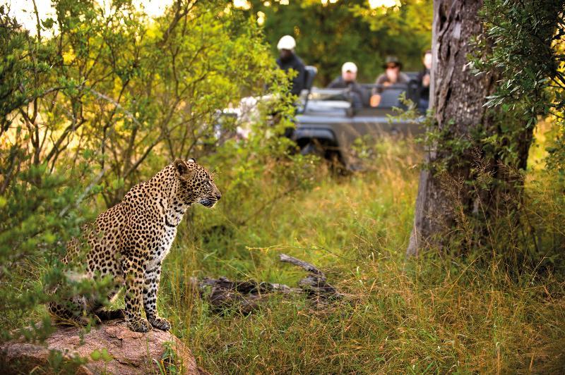 Lion Sands River Lodge Sabi Sand Vadrezervátum Kültér fotó