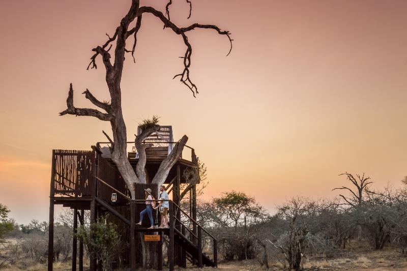 Lion Sands River Lodge Sabi Sand Vadrezervátum Kültér fotó